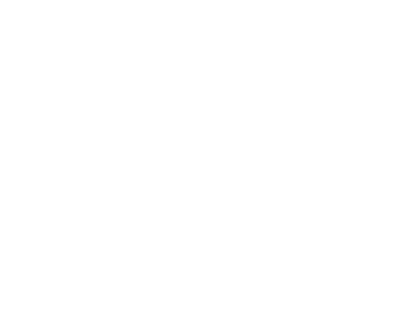 Project of wait for the light